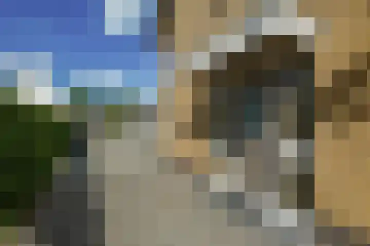 Warmoltsstrjitte 85 Harkema thumbnail 4