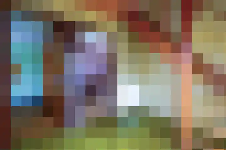 Warmoltsstrjitte 85 Harkema thumbnail 6