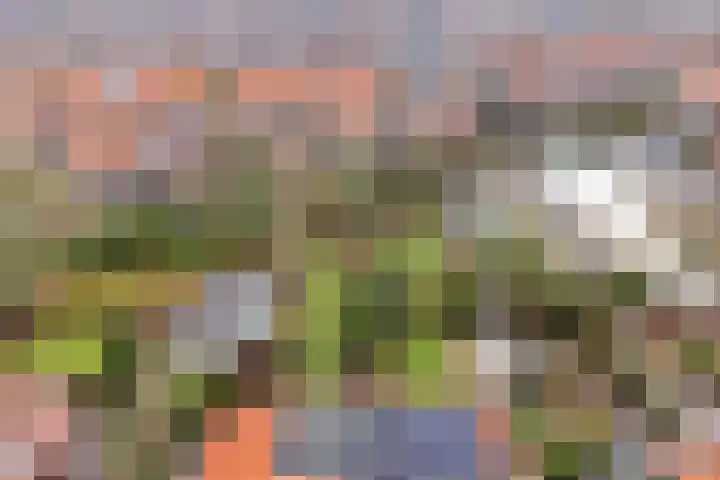 Warmonderweg 36 Oegstgeest thumbnail 23