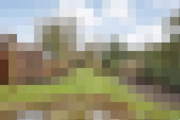 Warmonderweg 36 Oegstgeest thumbnail 30