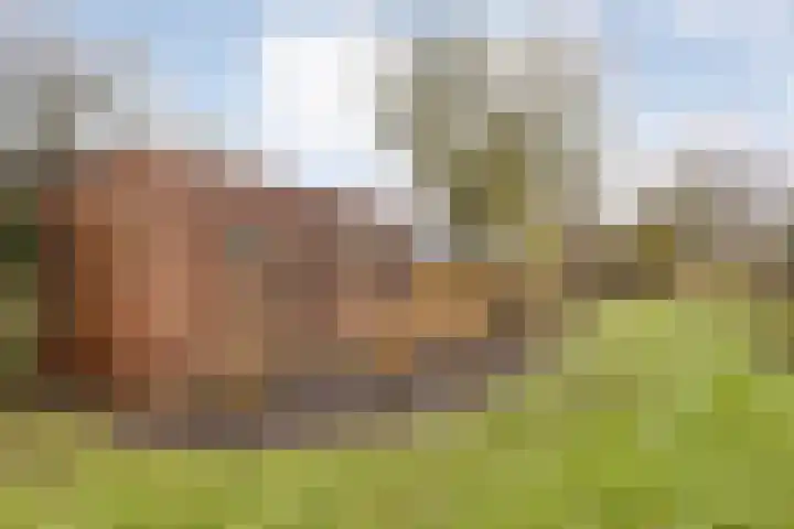 Warmonderweg 36 Oegstgeest thumbnail 31