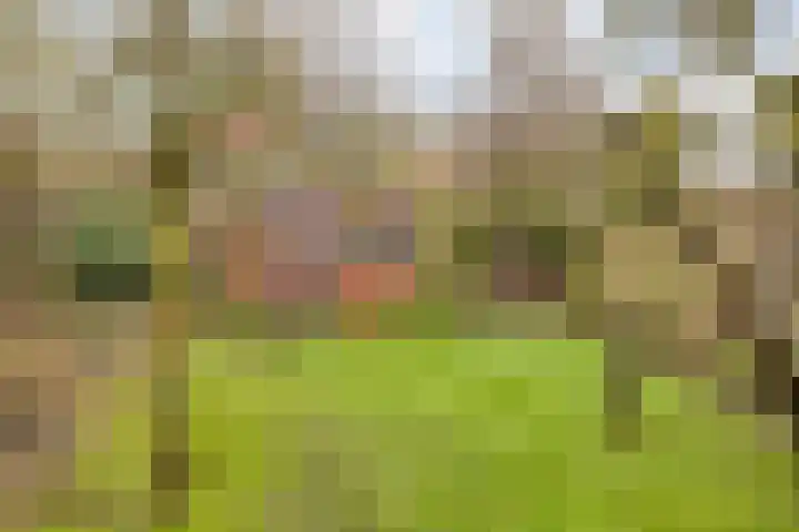 Warmonderweg 36 Oegstgeest thumbnail 32
