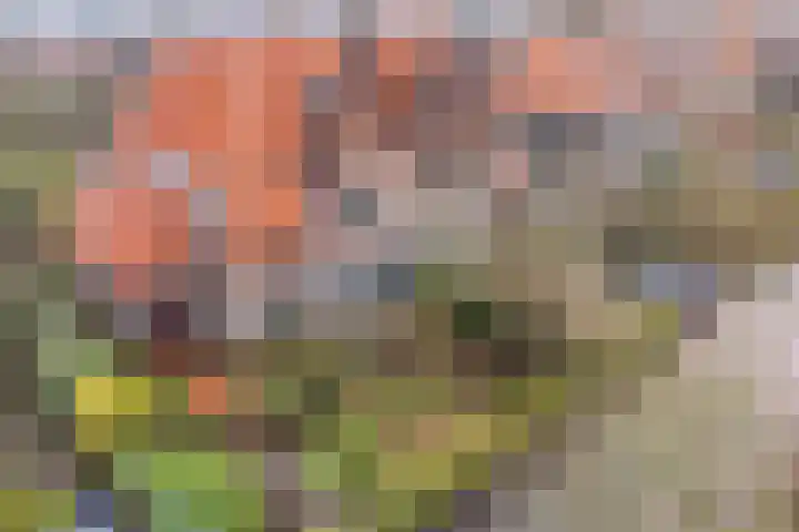 Warmonderweg 36 Oegstgeest thumbnail 4