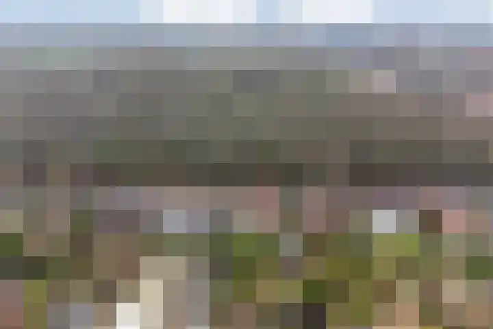 Warmonderweg 36 Oegstgeest thumbnail 58