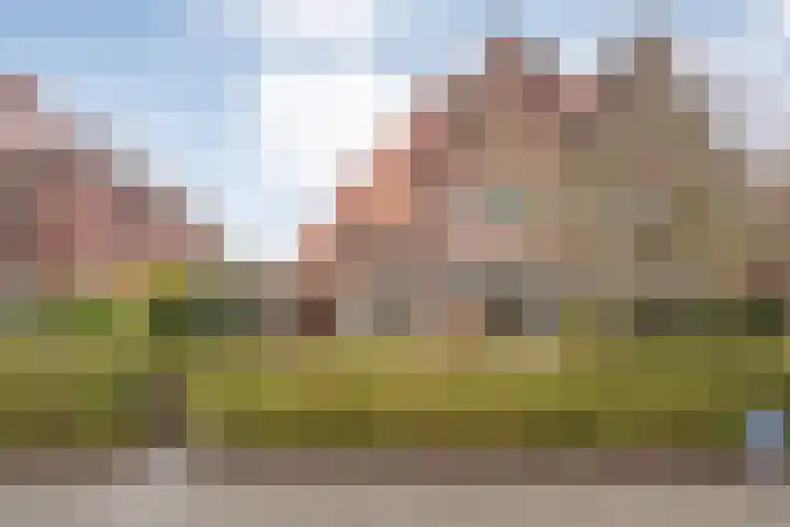 Warmonderweg 36 Oegstgeest thumbnail 7