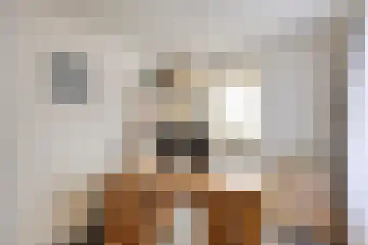 Warmondplein 1 Hank thumbnail 13