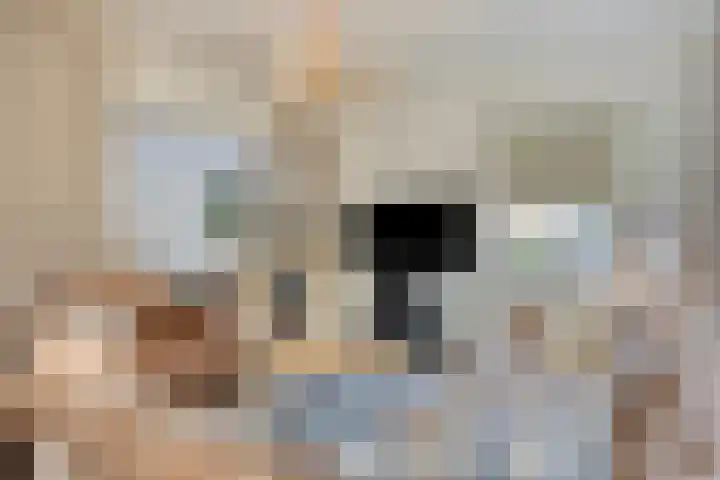 Warmondplein 1 Hank thumbnail 17