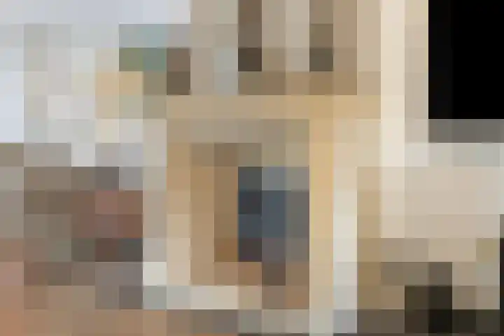 Warmondplein 1 Hank thumbnail 19