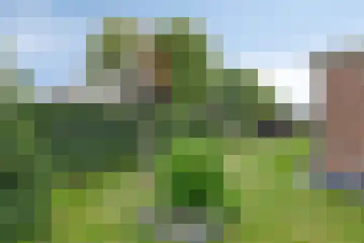 Warmondplein 1 Hank thumbnail 43