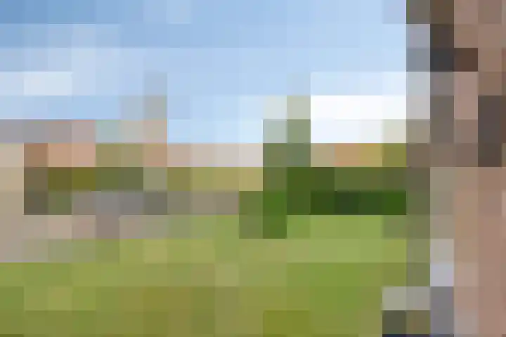 Warmondplein 1 Hank thumbnail 9
