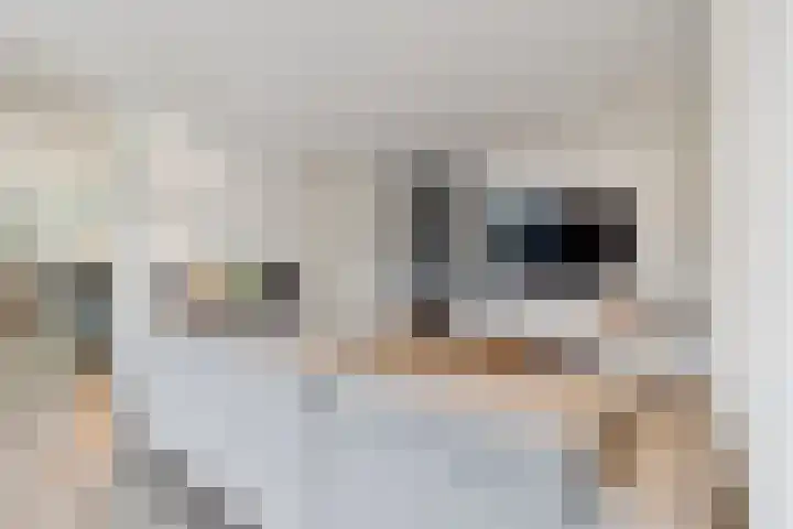 Warmondplein 26 Hank thumbnail 10