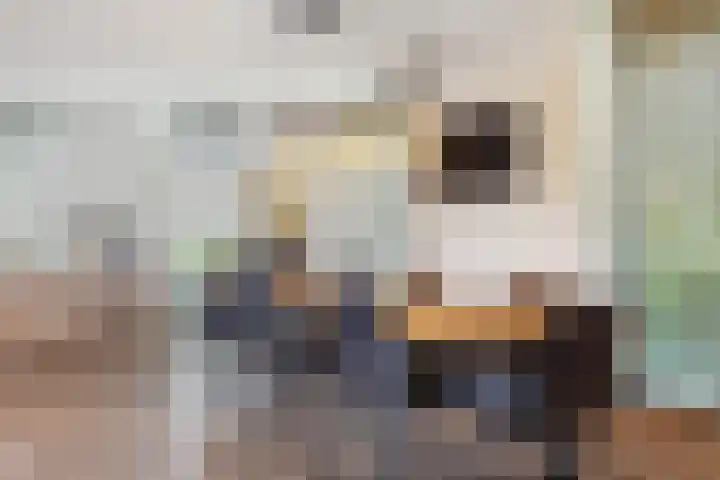 Warmondplein 26 Hank thumbnail 17