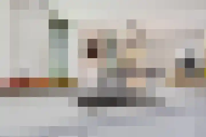 Warmondplein 26 Hank thumbnail 28