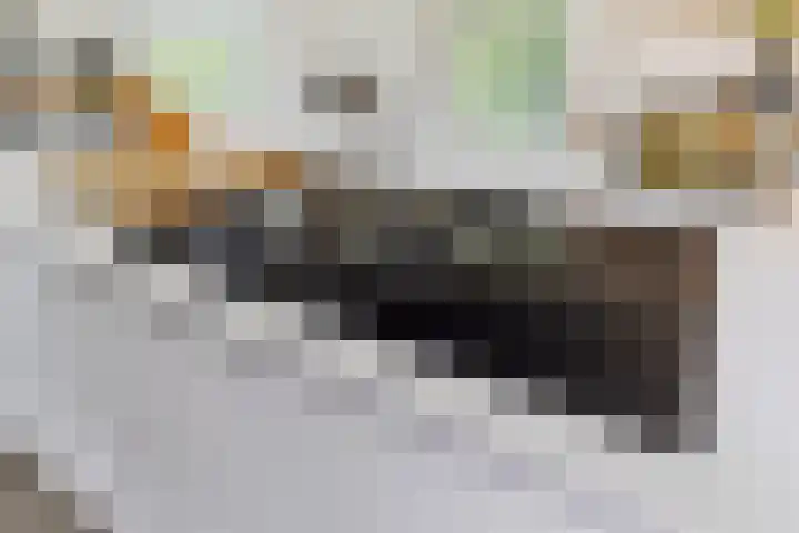 Warmondplein 26 Hank thumbnail 29