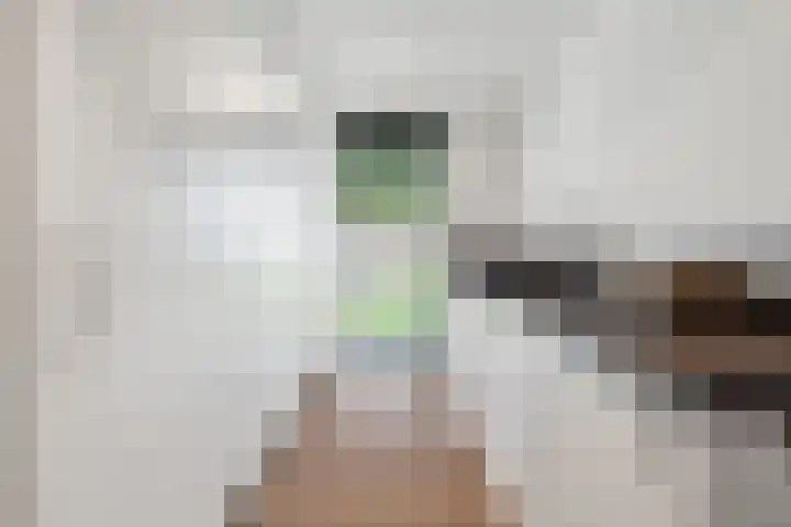 Warmondplein 26 Hank thumbnail 31