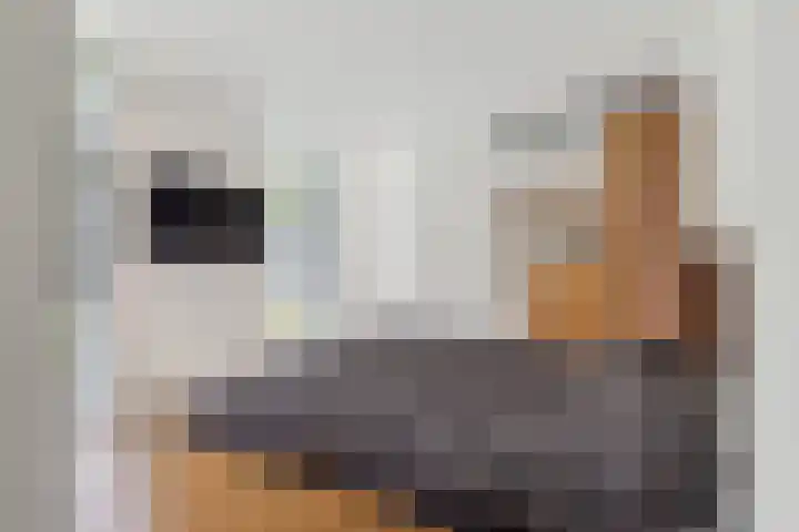 Warmondplein 26 Hank thumbnail 37