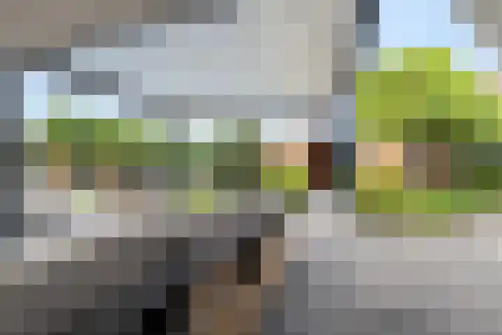 Warmondplein 26 Hank thumbnail 64