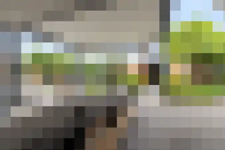 Warmondplein 26 Hank thumbnail 65