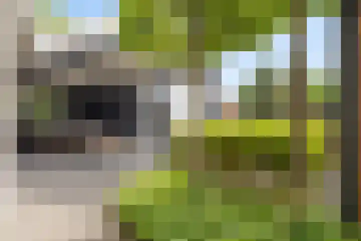 Warmondplein 26 Hank thumbnail 68