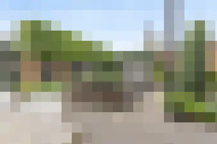 Warmondplein 26 Hank thumbnail 69