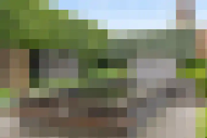 Warmondplein 26 Hank thumbnail 70