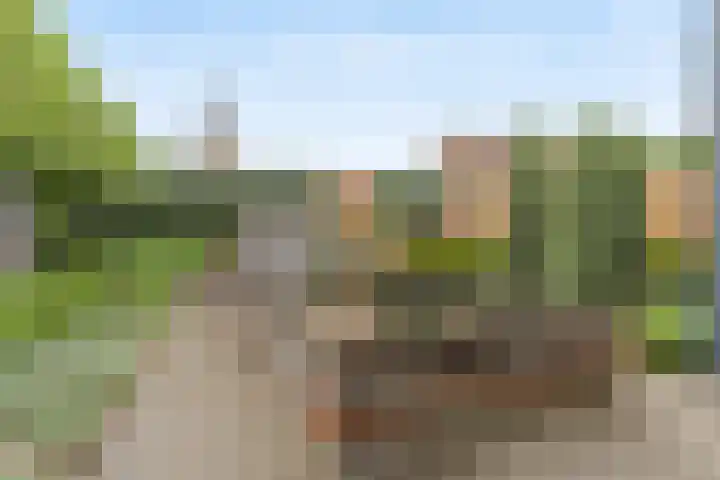 Warmondplein 26 Hank thumbnail 71