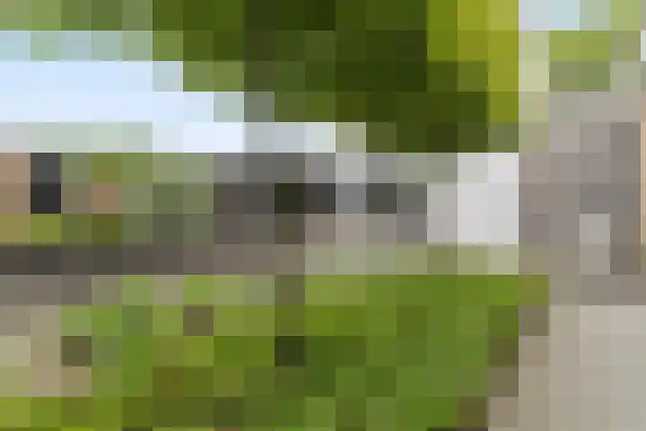 Warmondplein 26 Hank thumbnail 72