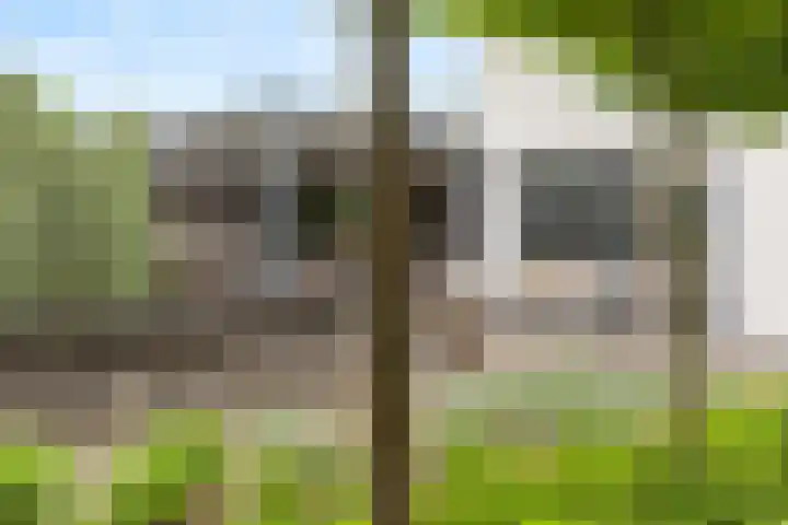 Warmondplein 26 Hank thumbnail 73