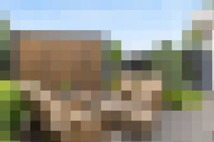 Warmondplein 26 Hank thumbnail 74