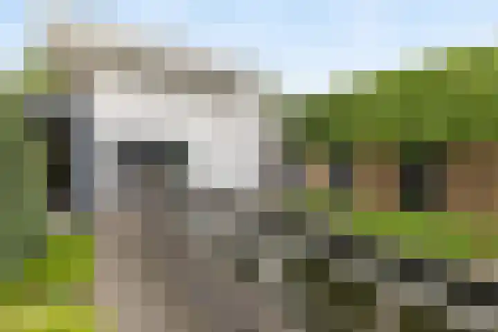 Warmondplein 26 Hank thumbnail 75