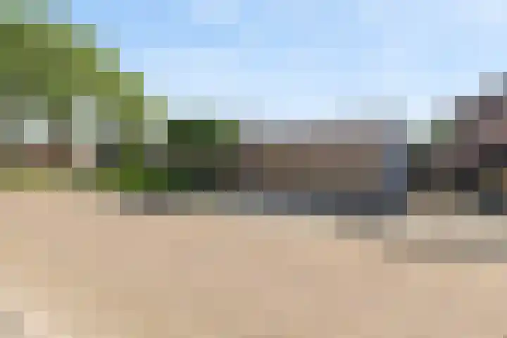 Warmondplein 26 Hank thumbnail 78