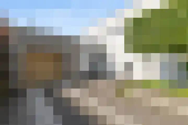 Warmondplein 26 Hank thumbnail 82
