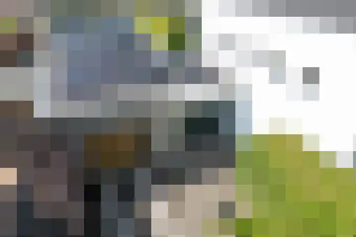 Warmondplein 26 Hank thumbnail 83