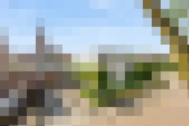 Warmondplein 26 Hank thumbnail 85