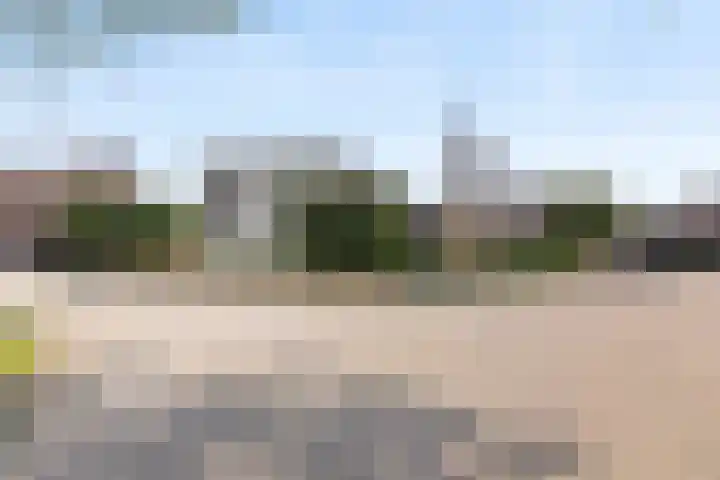 Warmondplein 26 Hank thumbnail 87