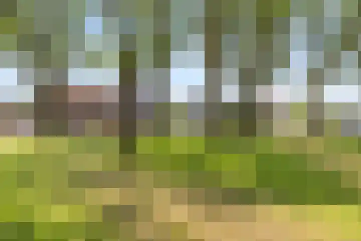 Warmondplein 26 Hank thumbnail 88