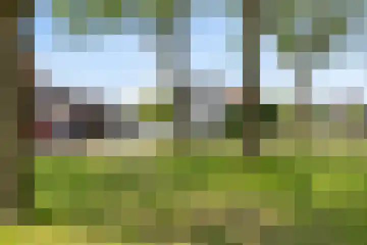 Warmondplein 26 Hank thumbnail 89