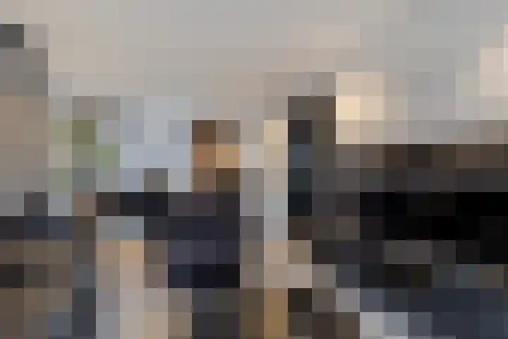 Warmondstraat 13 Hank thumbnail 17