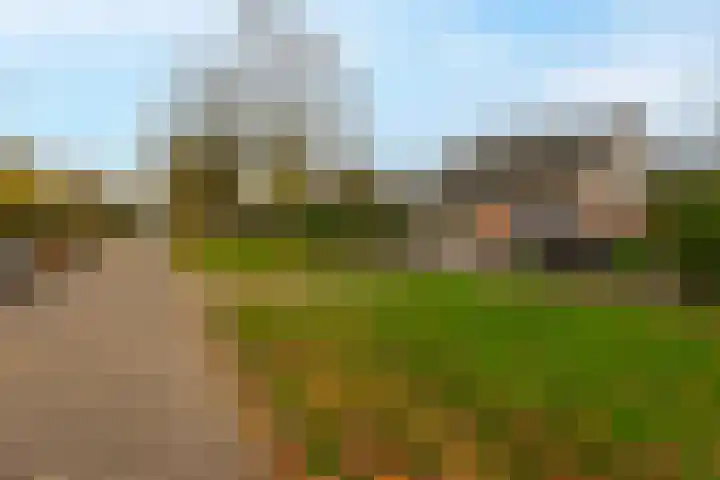 Warmondstraat 13 Hank thumbnail 9