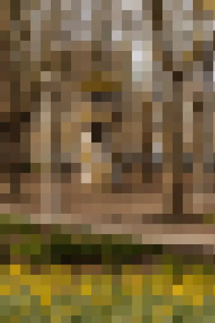 Warmondstraat 155 2 Amsterdam thumbnail 45