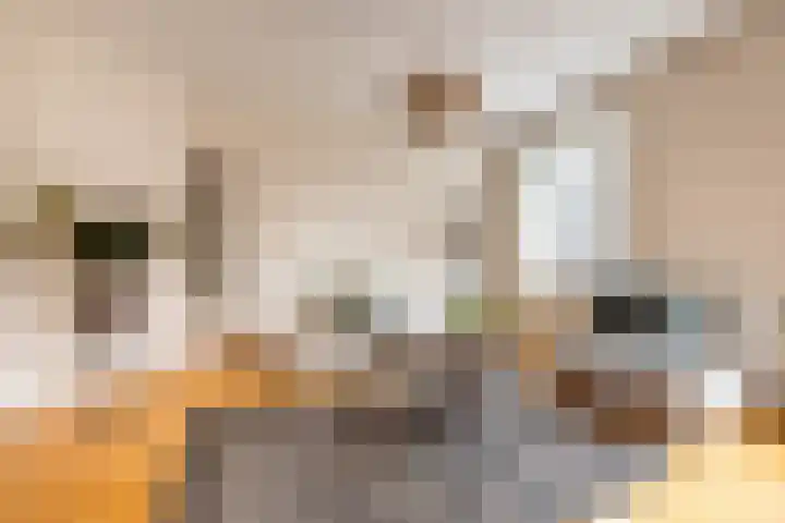 Warmondstraat 204 2 Amsterdam foto 3