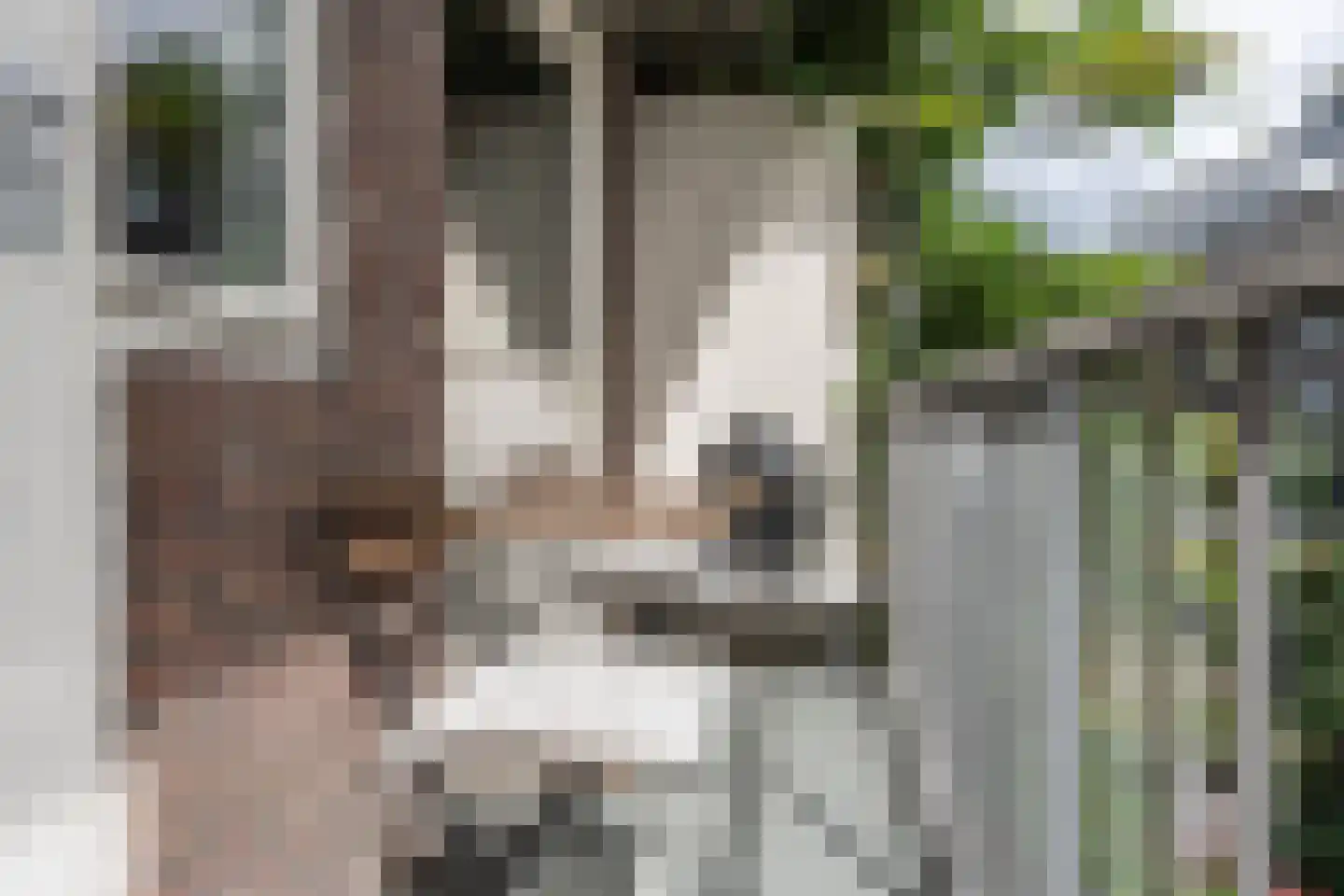 Warmondstraat 73 1 Amsterdam thumbnail 15