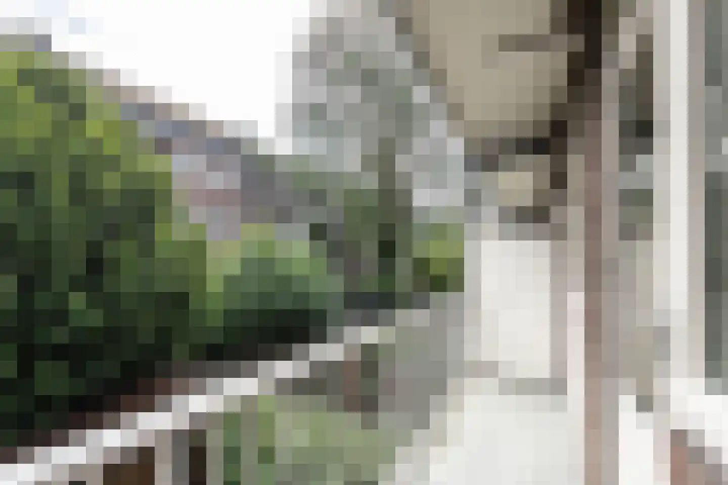 Warmondstraat 73 1 Amsterdam thumbnail 16