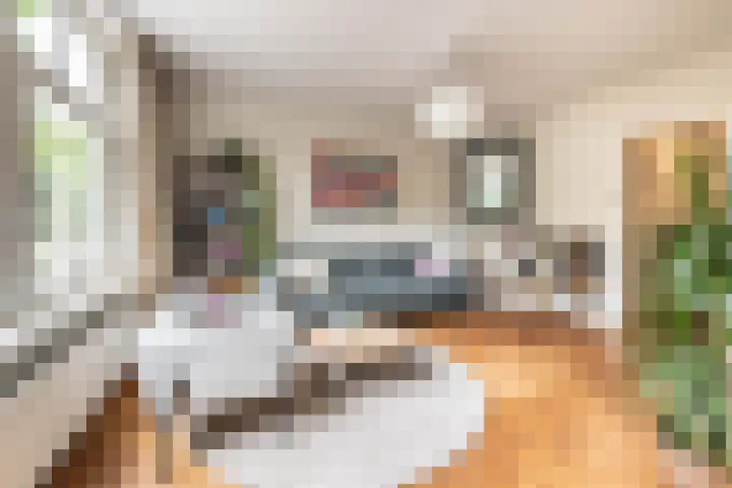 Warmondstraat 73 1 Amsterdam thumbnail 6