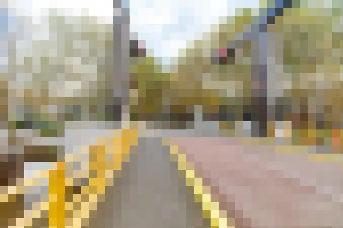Warmondstraat 75 2 Amsterdam thumbnail 27