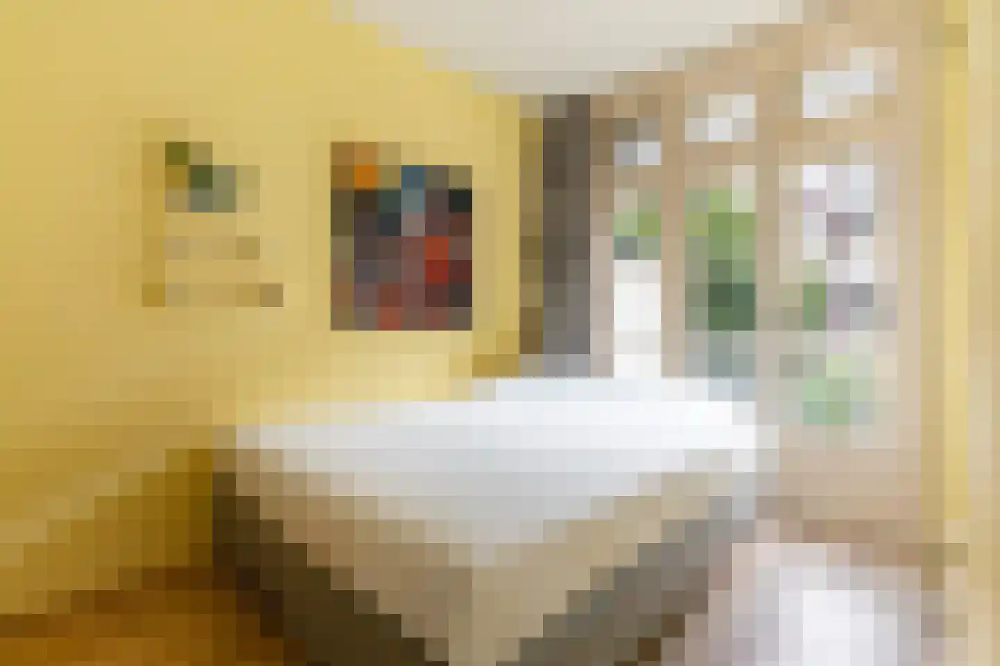 Warmondstraat 75 2 Amsterdam thumbnail 9