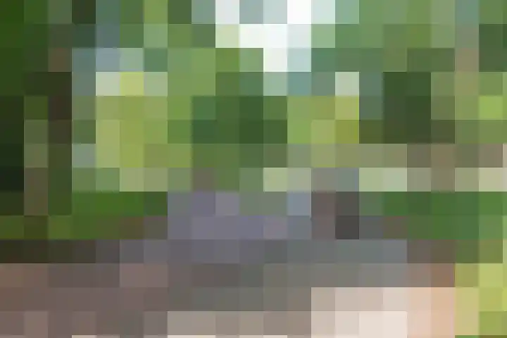 Warmondstraat 91 H Amsterdam thumbnail 19