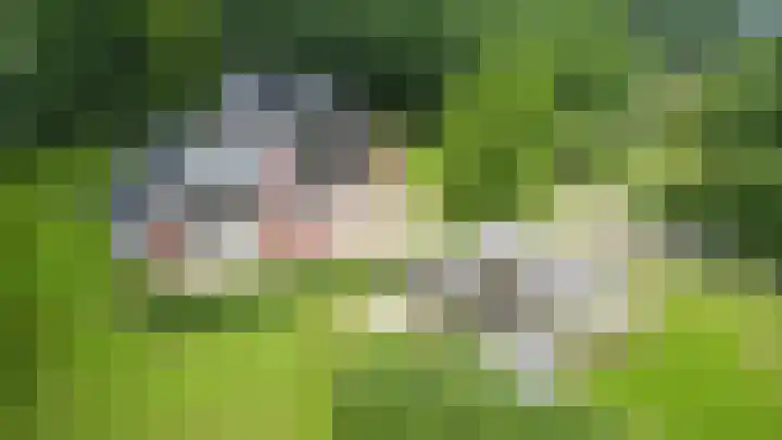 Warmseweg 2 in Etten