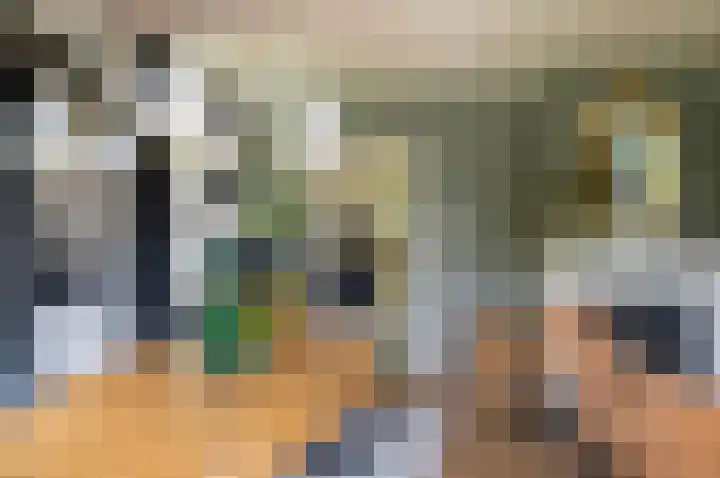 Warmseweg 2 Etten thumbnail 22