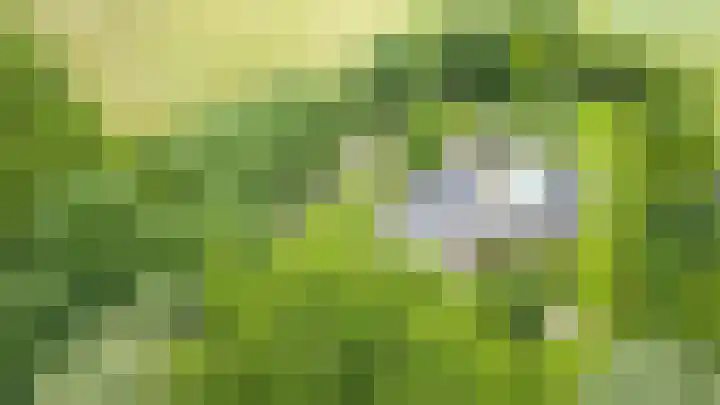 Warmseweg 2 Etten thumbnail 53